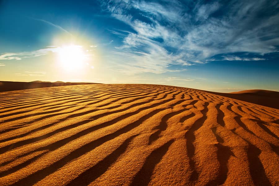 What is the largest desert in the world by area?